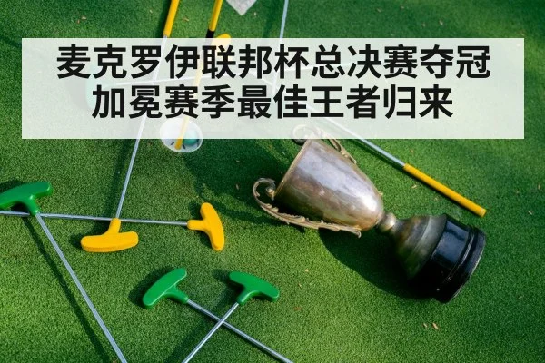 麦克罗伊联邦杯总决赛夺冠加冕赛季最佳王者归来