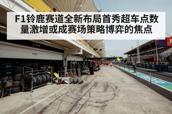 F1 race strategy tire