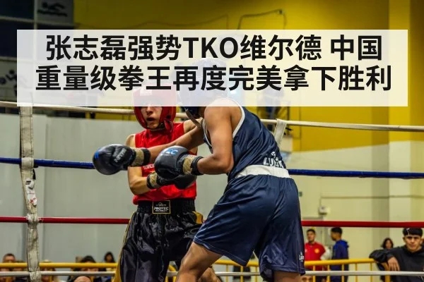 张志磊强势TKO维尔德 中国重量级拳王再度完美拿下胜利